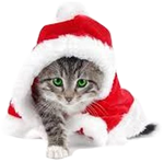 Christmas Cat